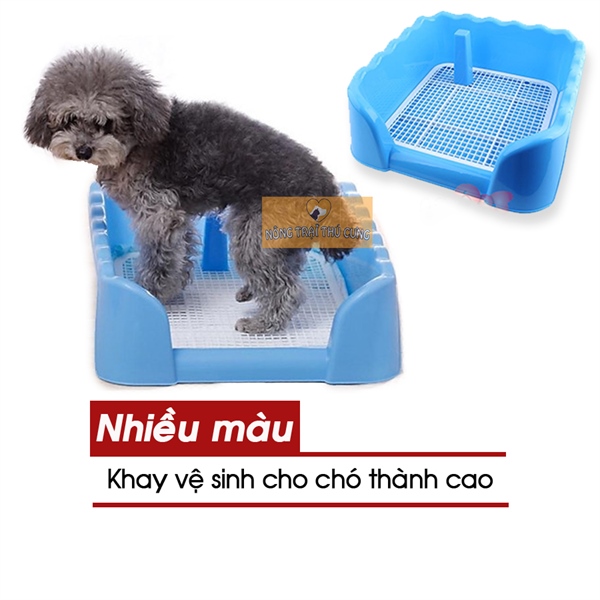Khay Vệ Sinh (Vuông 43x43) Cho Chó Thành Cao Lượn Sóng